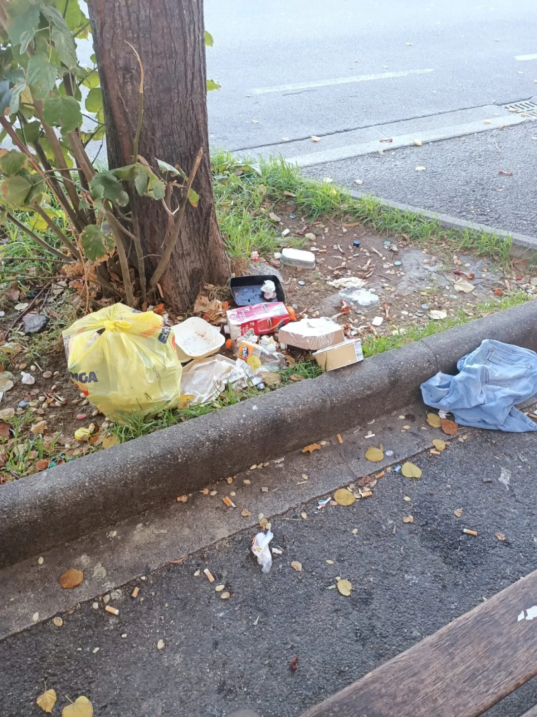 image4.jpeg
