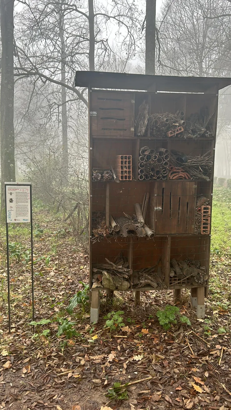 Oggi le Cascine sono meno biodiverse Oggi le Cascine sono meno biodiverse