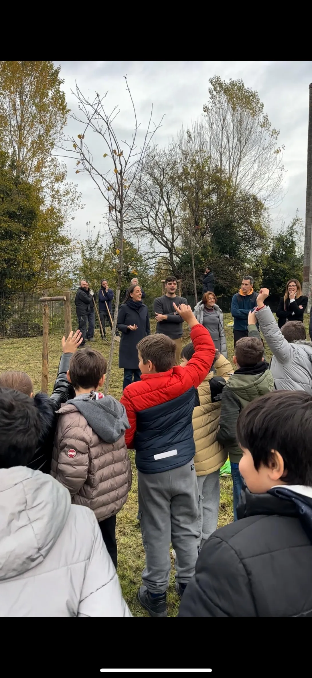 albero festa.jpeg