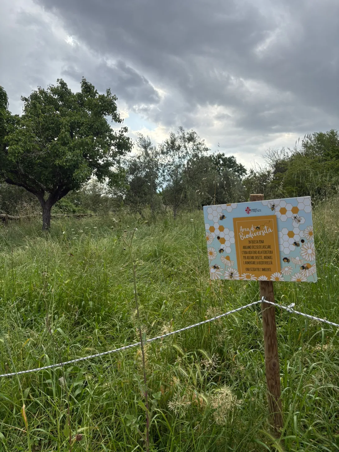 area biodiversità.jpeg area biodiversità.jpeg